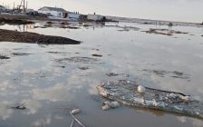 Павлодар облысында да бір ауылдың 15 үйі су астында қалды