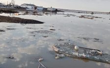 Өзендерде су деңгейі көтеріліп, тұман, көктайғақ болады: синоптиктер ескерту жасады