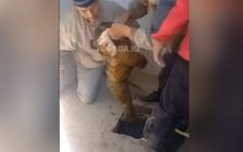 Маңғыстау облысында екі жасар қыз үй ауласындағы әжетханаға құлап кетті
