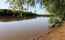 Атырауда Жайық өзенінің жағасынан ер адамның денесі табылды