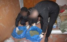 Қызылорда аймағына есірткі жеткізушілер ұсталды
