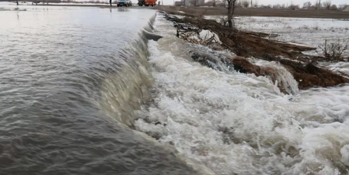 Су жаңа Су ресурстары министрлігі тасқын туралы неге білмей қалды?