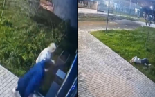 Тағы бір Салтанатты күйеуі аяусыз ұрған видео тарады