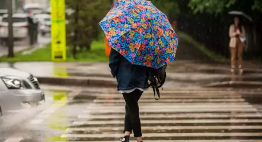 Фото: Tengrinews.kz/Тұрар Қазанғапов