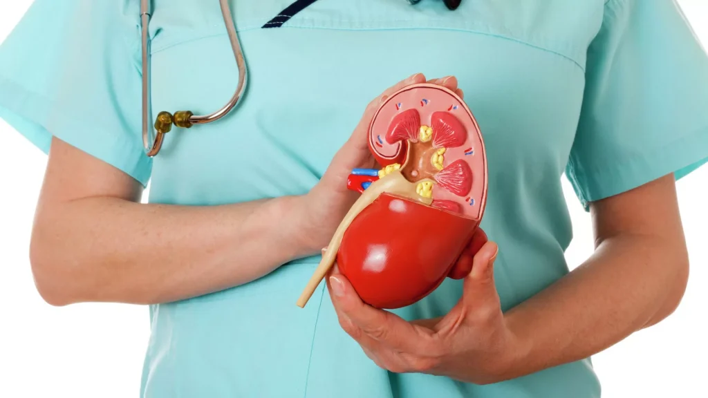 Алимент төлемек болған: бүйрегін сатпақ болған жігіт сотталып кетті