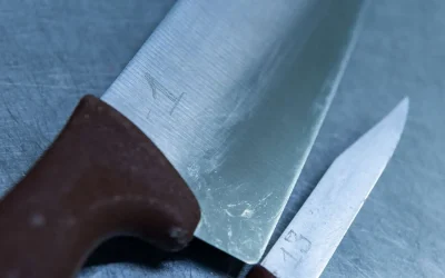 Петропавлда анасын өлтірген әйел 9 жылға бас бостандығынан айырылды