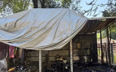 Алматы хайуанаттар бағында өрт болды: жануарлар зардап шеккен жоқ