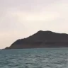 Алакөлде аралда қалған отбасын ТЖМ құтқарды