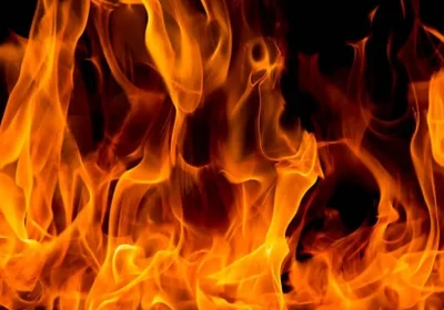 Ақмола облысында жол апатынан бір үйдің үш адамы қаза тапты