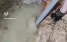 «Үй құлағалы тұр»: Петропавлда 5 қабатты үйдің жертөлесін белгісіз сұйықтық басып қалды