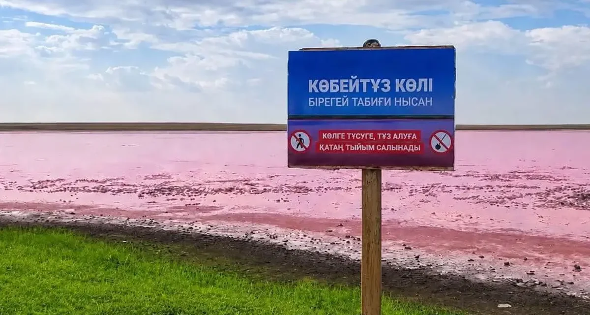Көбейтұз көлі ерекше қорғалатын табиғи аумаққа айналады: ол «Бұйратау» ұлттық паркінің құрамына енеді