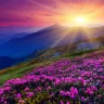 30 шілдеде Қазақстан қалаларында ауа температурасы ыстық болады