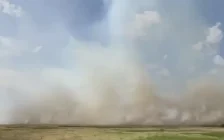 Құтқарушылар имидждік рилс түсіріп әлек: СҚО турғындары өртті трактормен және шүберекпен өздері өшіруге мәжбүр