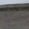 Балқаштағы көл жағасы қоқыс полигонына айналып барады