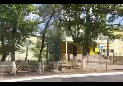 Қарағандыда №27 мектептің ағаштары оталып жатыр ма: Әкімдік рұқсат қағазын неге көрсете алмай отыр?
