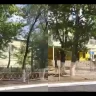 Қарағандыда №27 мектептің ағаштары оталып жатыр ма: Әкімдік рұқсат қағазын неге көрсете алмай отыр?