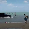 Балқаштағы жағажайда жүргізуші көлік айдады