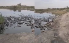 Қарашөкеев басқаратын өңірдегі Жайсаң-6 тұрғындары неге зарығып отыр?