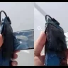 Алматы тұрғыны телефонынын қуаттағышта қалдырамын деп опық жеді