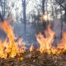 Еуропадағы ірі орман өрттері: адам өлімі мен жаппай эвакуация