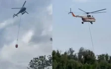 Орал орман шаруашылығындағы өртті сөндіру жалғасуда