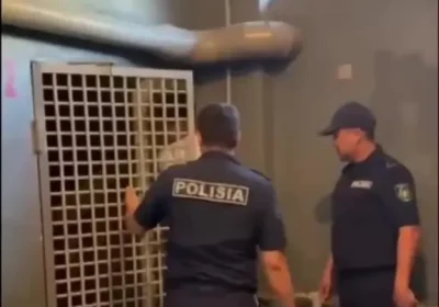 Алматыда дипломын жыртқан түлек 5 тәулікке қамалды