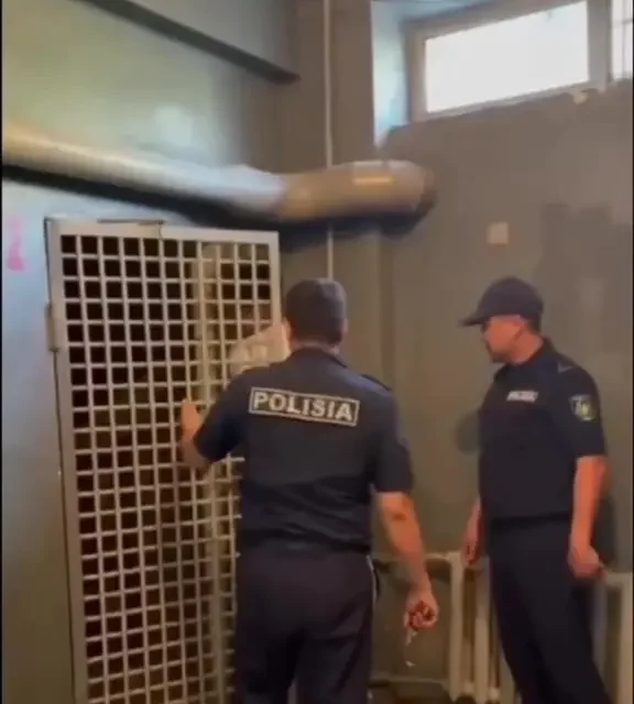 Алматыда дипломын жыртқан түлек 5 тәулікке қамалды