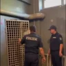Алматыда дипломын жыртқан түлек 5 тәулікке қамалды