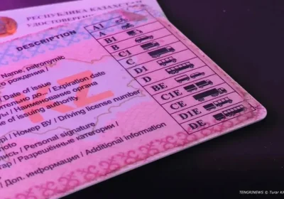 Қазақстанда 25 тамыздан бастап жүргізуші куәлігін тоқтатудың жаңа ережелері күшіне енеді