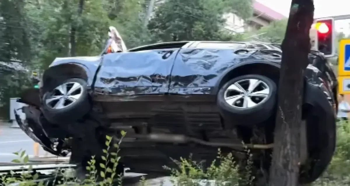 Алматыдағы оқиға: кроссовер ағашқа ілініп қалды