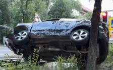 Алматыдағы оқиға: кроссовер ағашқа ілініп қалды