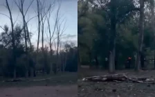 Бала жазым бола жаздады: Қарағандыдағы апатты ағаштар қашан шешіледі?