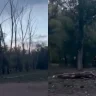 Бала жазым бола жаздады: Қарағандыдағы апатты ағаштар қашан шешіледі?