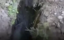 Балмұздақ зауытынан шыққан шу: Түркістан облысының халқы дабыл қақты