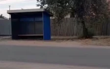 Семейдегі сергелдең: әкімдік тұрғындарға бір ғана аядалма салып беру үшін жер таппай отыр