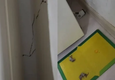 «Үйіміз құлағалы тұр»: Атырауда ипотекаға баспана алған тұрғындар дабыл қақты