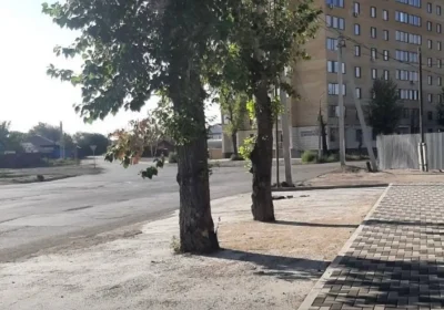 Семейде өсіп тұрған ағаштарды бетондап тастаған: тұрғындар әкімдіктен жауап күтеді