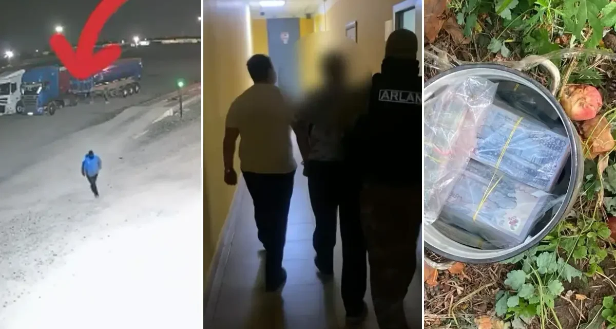 Ақшаны алма ағаштың түбін жасырған: Павлодарда күзетші кәсіпорынның 25 млн теңгесін ұрлап кеткен (ВИДЕО)