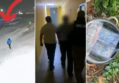 Ақшаны алма ағаштың түбін жасырған: Павлодарда күзетші кәсіпорынның 25 млн теңгесін ұрлап кеткен (ВИДЕО)