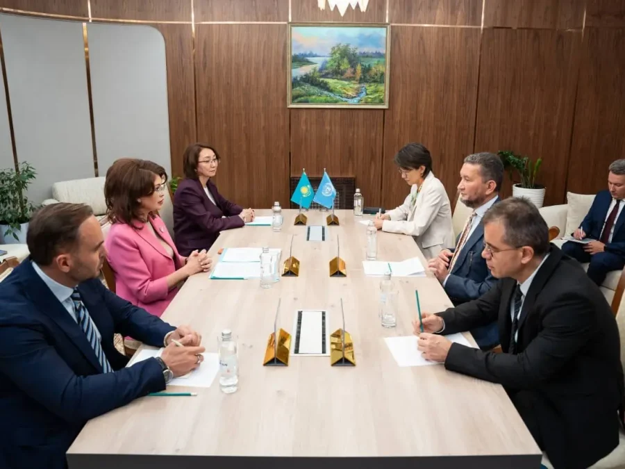 Аида Балаева БҰҰ еріктілер бағдарламасының өкілімен кездесті