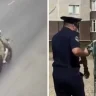 «Жағы сынып, тістері түсіп қалған»: Ақтөбеде 12 жастағы жасөспірімді қағып, қашып кеткен курьер ұсталды