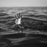Павлодарда каналға шомылуға барған ер адам ажал құшты