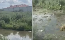 1,5 миллиард теңге суға кетті ме? Ақмола облысындағы нәжіс Есілге жайылып жатыр