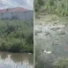 1,5 миллиард теңге суға кетті ме? Ақмола облысындағы нәжіс Есілге жайылып жатыр
