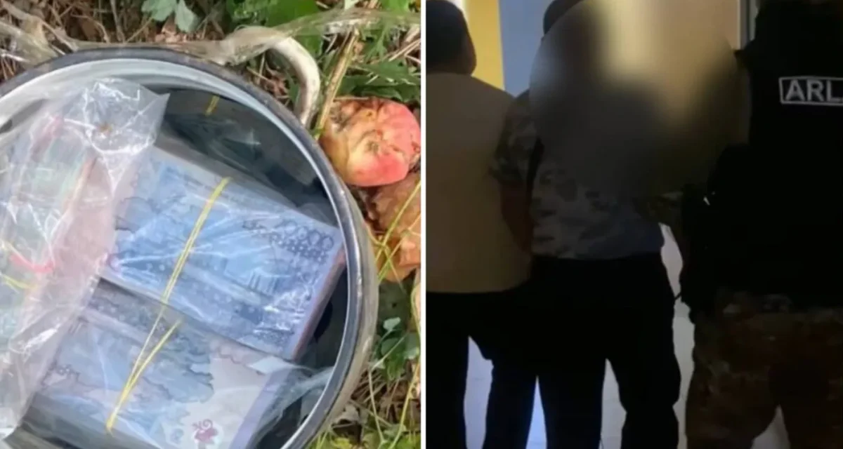 Павлодарда алма ағашының түбінен 24 млн теңге табылды