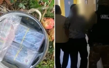 Павлодарда алма ағашының түбінен 24 млн теңге табылды