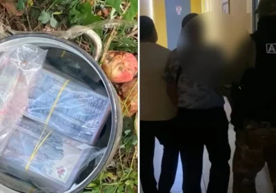 Павлодарда алма ағашының түбінен 24 млн теңге табылды