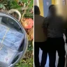 Павлодарда алма ағашының түбінен 24 млн теңге табылды