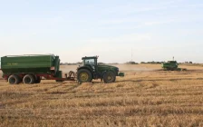 Қазақстанның АӨК өнімдері экспорты бес жылда $7 млрд-қа жетті