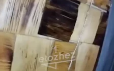 Ұлытау облысында дәмханадан тарақан шықты: тұрғын СЭС-ке шағымданбақ